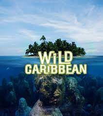     / Wild Caribbean  Rhythms of Life (2018)
